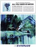 Evinrude 1965 0.jpg